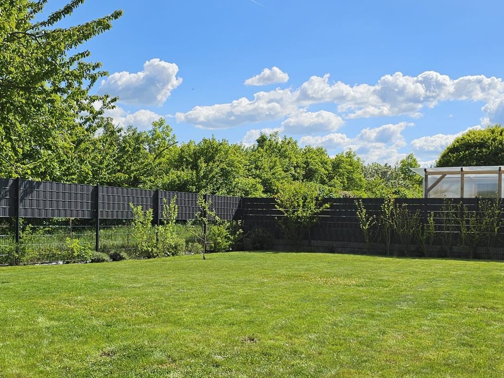 Immergrün Braunlage Garten & Baumpflege Immergrün Braunlage Garten & Baumpflege